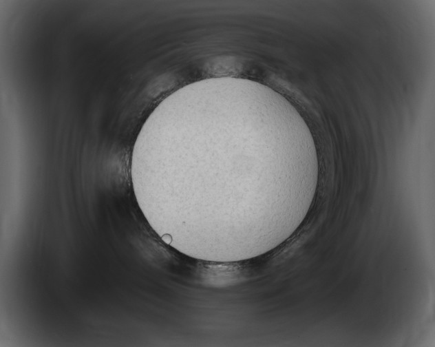 X0000082980240200703020304