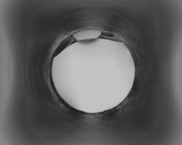 X0000082980241200703020303