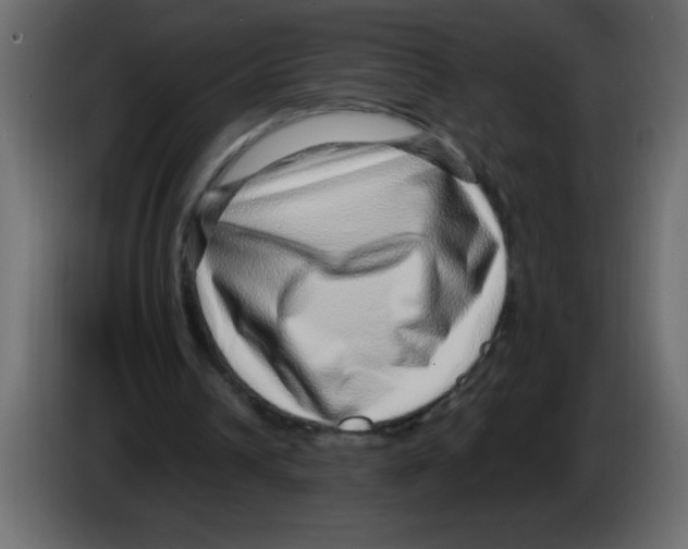 X0000082980242200703020303