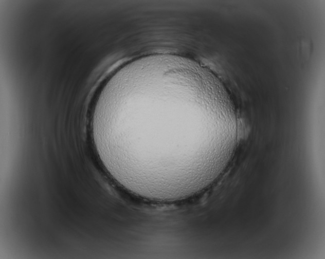 X0000082980243200703020303