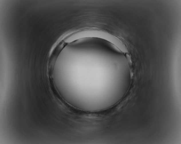 X0000082980244200703020303