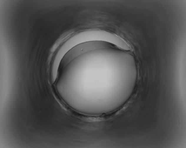 X0000082980245200703020303