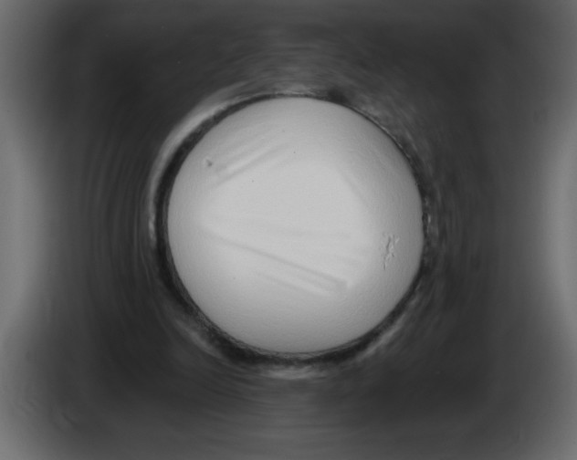 X0000082980246200703020303