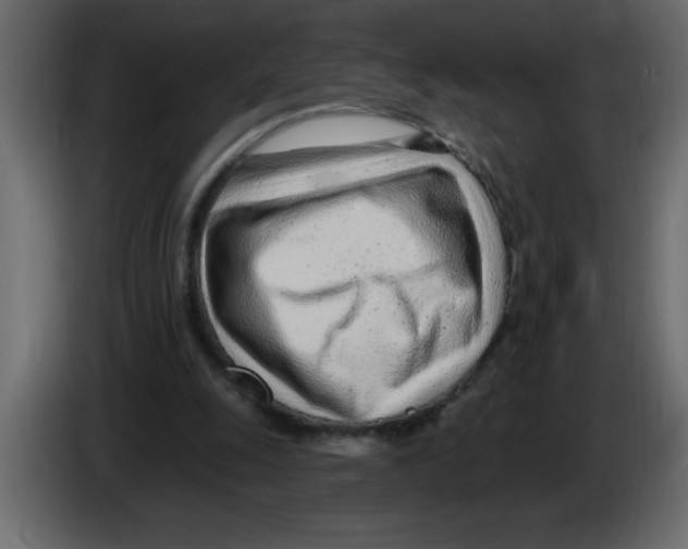 X0000082980247200703020303