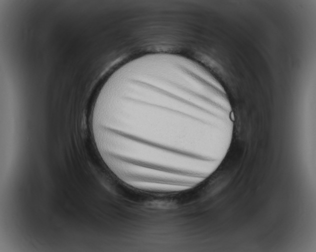 X0000082980251200703020303