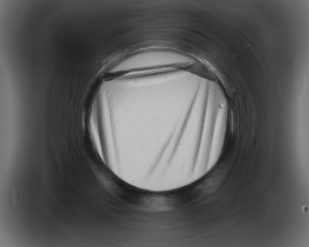 X0000082980253200703020303