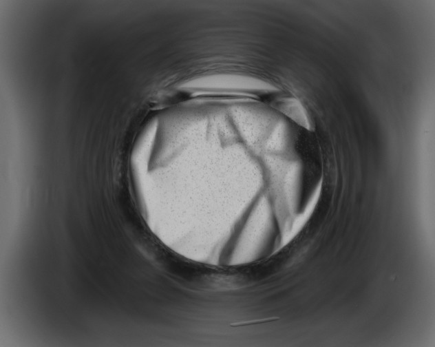 X0000082980255200703020303