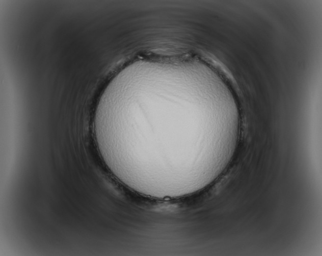 X0000082980257200703020303