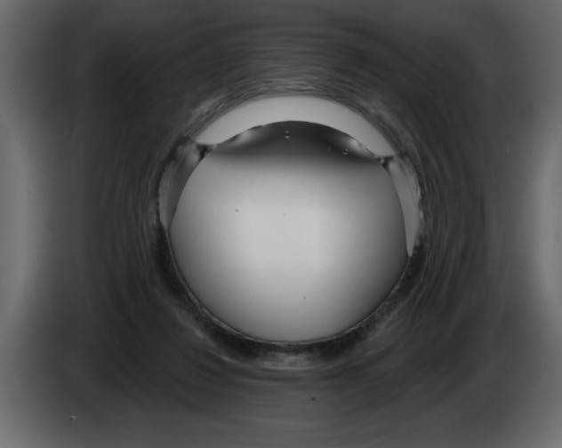 X0000082980260200703020303