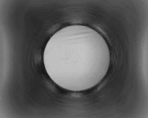 X0000082980261200703020303