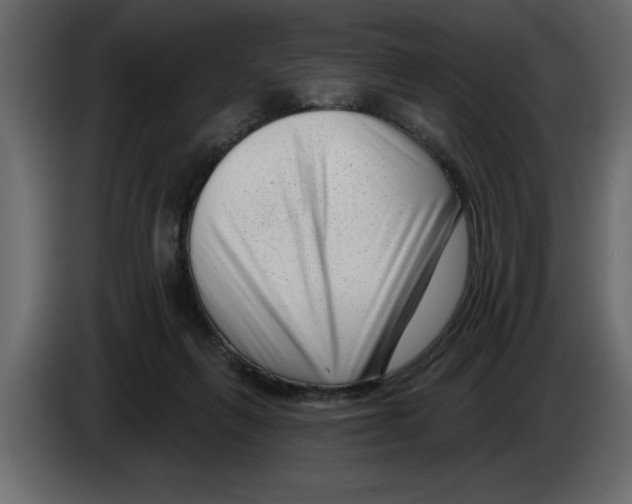 X0000082980263200703020303