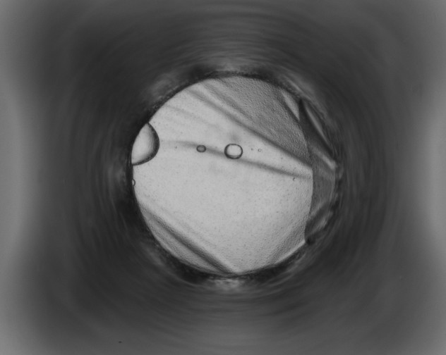 X0000082980265200703020303