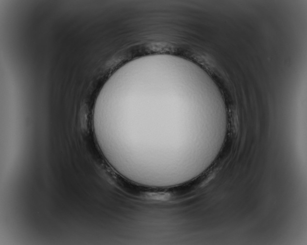 X0000082980266200703020303