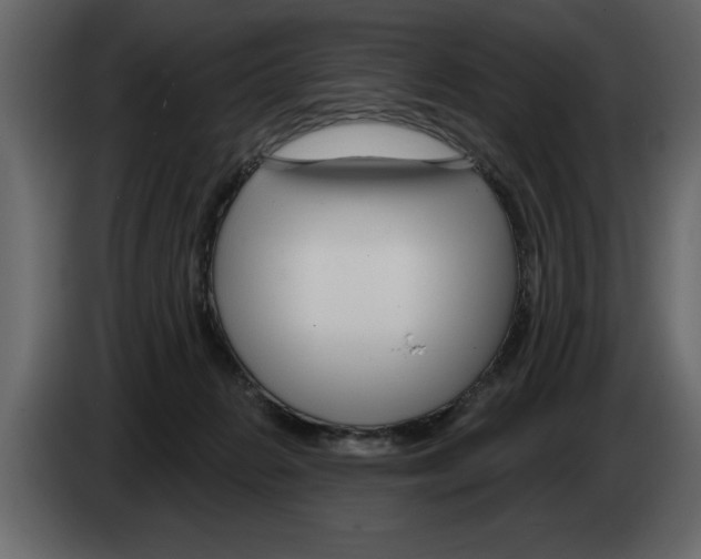 X0000082980270200703020303