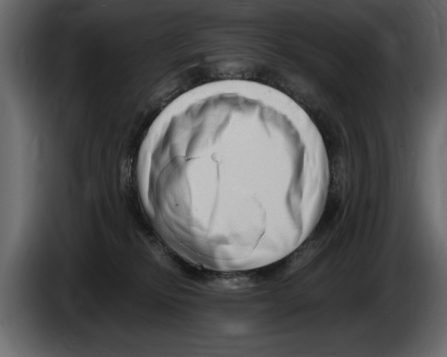 X0000082980278200703020303