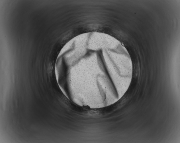 X0000082980279200703020303