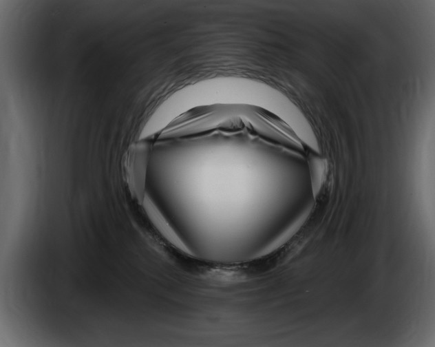 X0000082980280200703020304