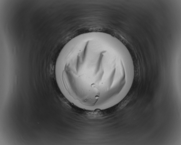 X0000082980281200703020304