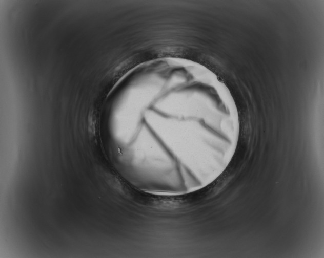 X0000082980282200703020304