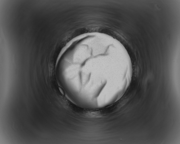 X0000082980283200703020304