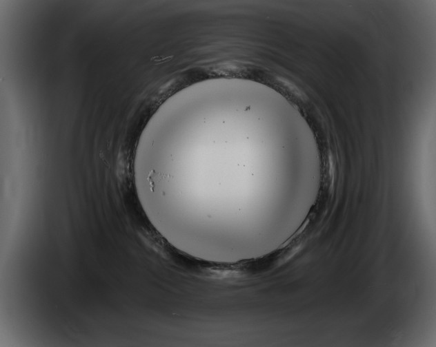 X0000082980284200703020304