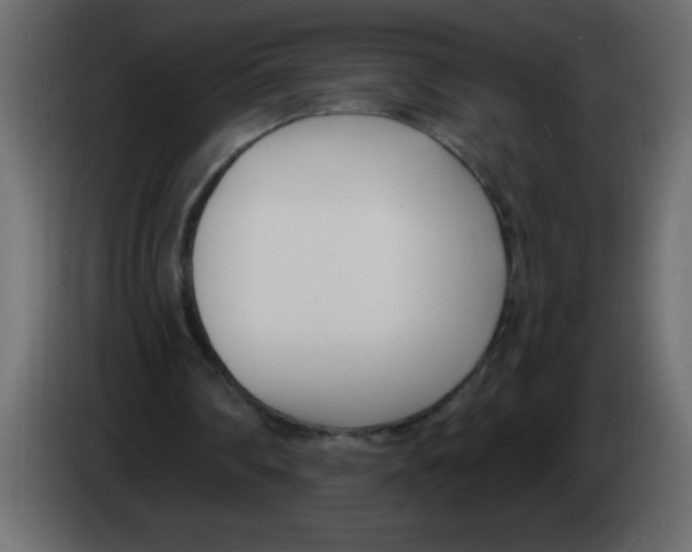 X0000082980290200703020303