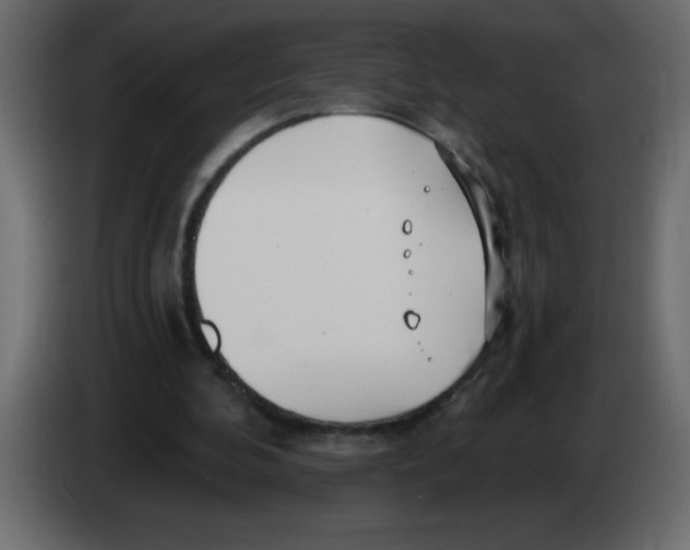 X0000082980292200703020303