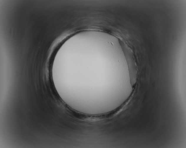 X0000082980294200703020303