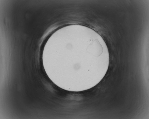 X0000082980296200703020303