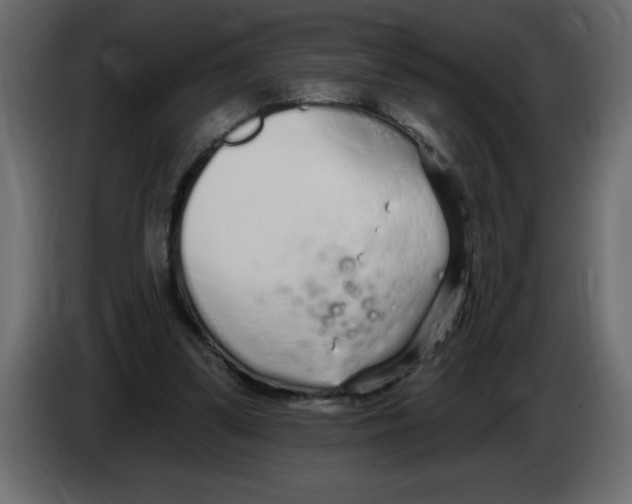 X0000082980299200703020303