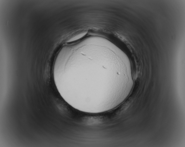 X0000082980303200703020303