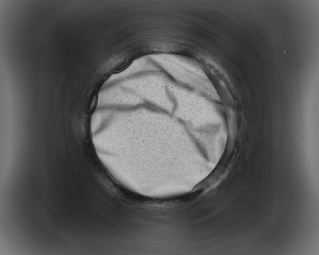X0000082980305200703020303