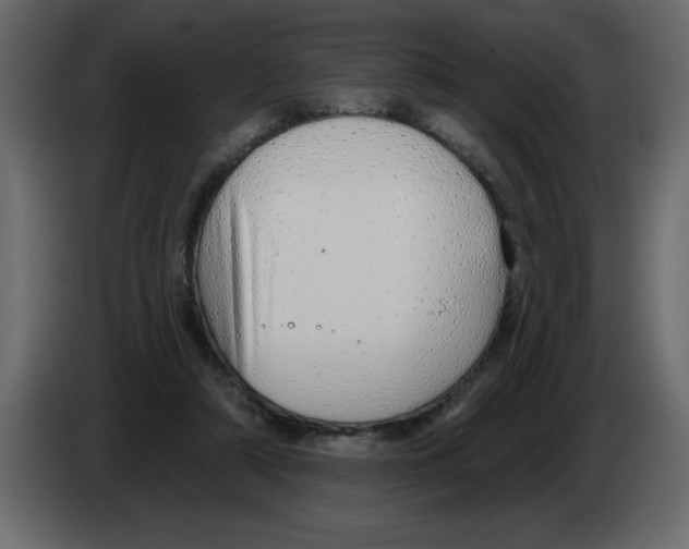 X0000082980306200703020303