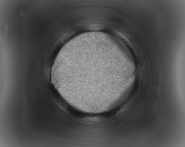 X0000082980307200703020302