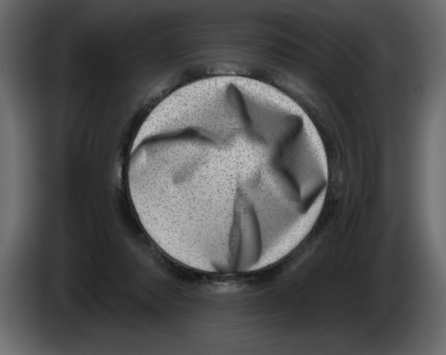 X0000082980310200703020302