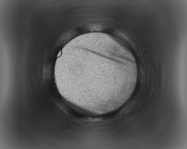 X0000082980311200703020302