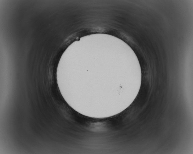 X0000082980312200703020302