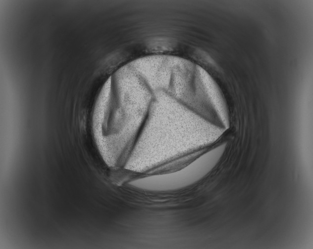 X0000082980315200703020302