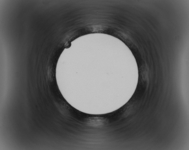 X0000082980316200703020302