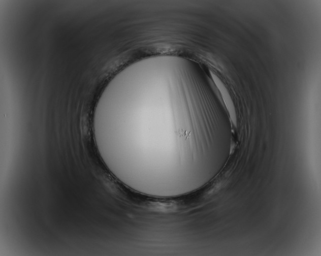 X0000082980317200703020302