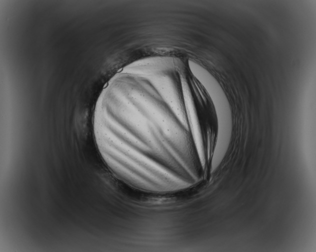 X0000082980319200703020302