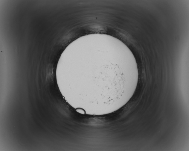 X0000082980320200703020302