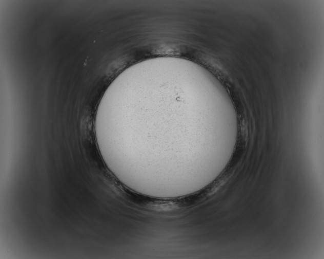 X0000082980322200703020302