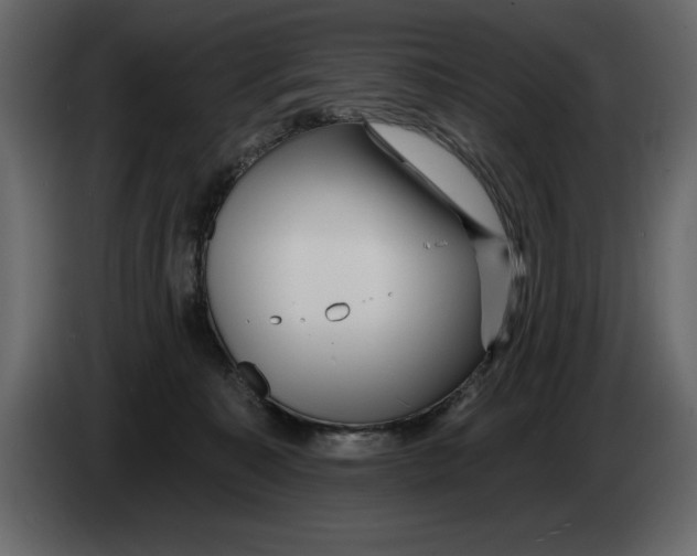 X0000082980323200703020302