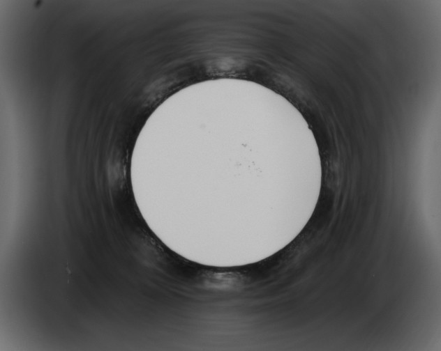 X0000082980324200703020302