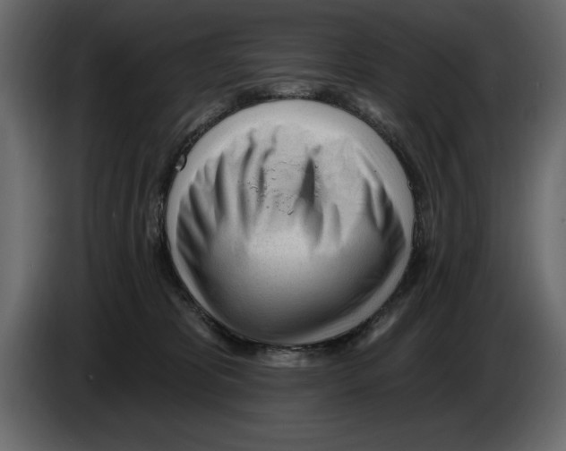 X0000082980325200703020302