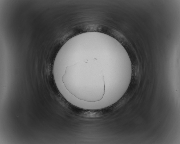 X0000082980326200703020302