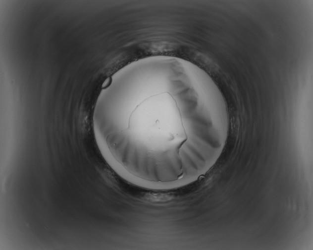 X0000082980327200703020302