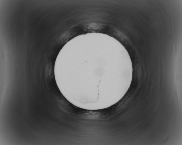 X0000082980328200703020302