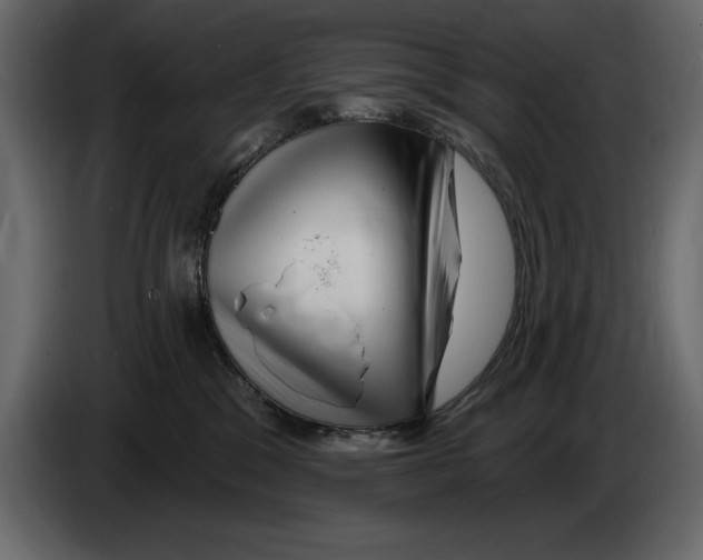 X0000082980329200703020302